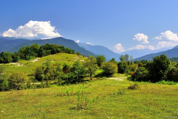 Рами Абхазия