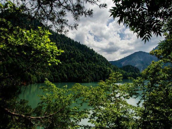 Рицинский национальный парк Абхазия