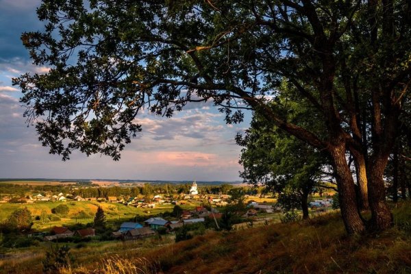 Природа Пензенской области