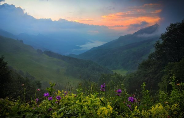 Гора пыф Абхазия