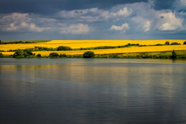 Поля Пензенской области