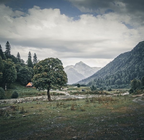 Альпийские горы в Абхазии