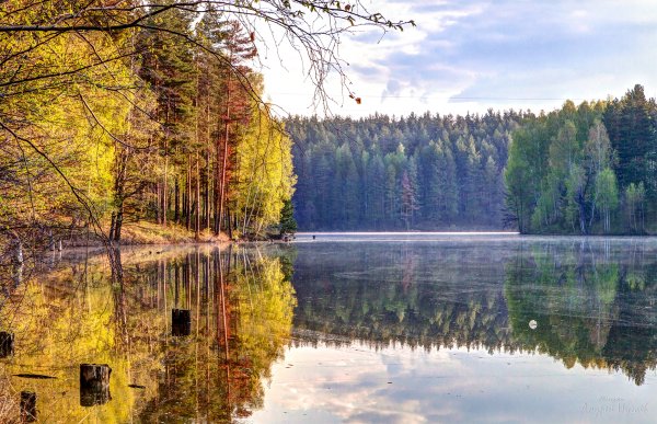 Просторы Пензенской области