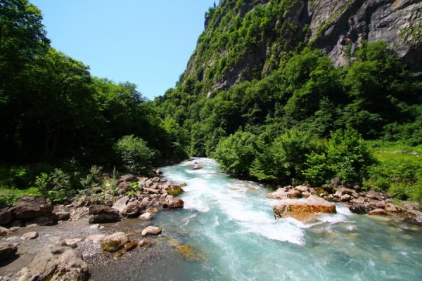 Типичный пейзаж в Абхазии
