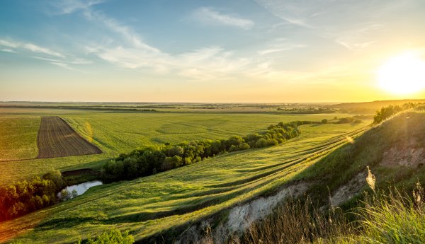 Большой Вьяс Пенза