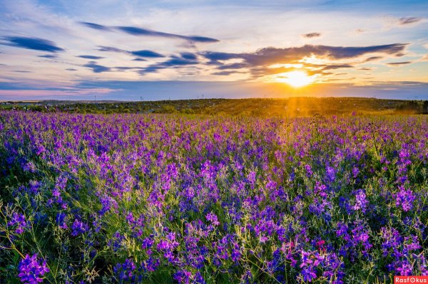 Пенза природа красивые места