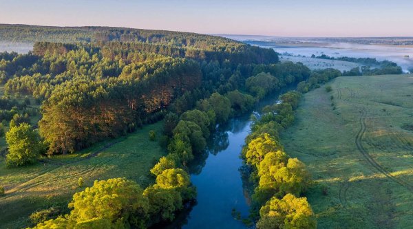 Тамбов природа