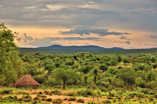 Аддис Абеба природа