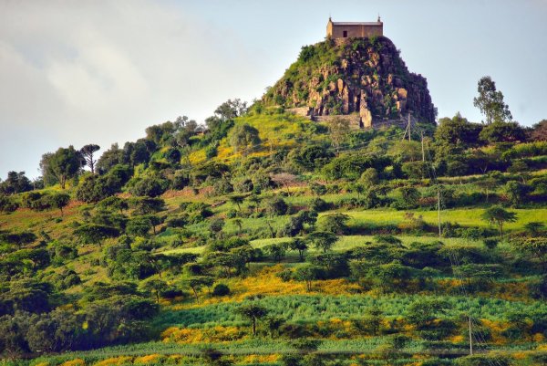 Парк Энтото Эфиопия