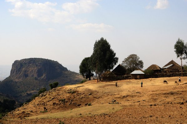 Эфиопия природа 1908