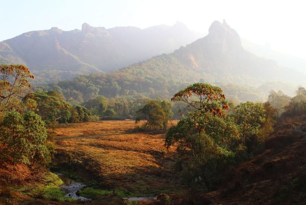 Эфиопия бале Маунтин