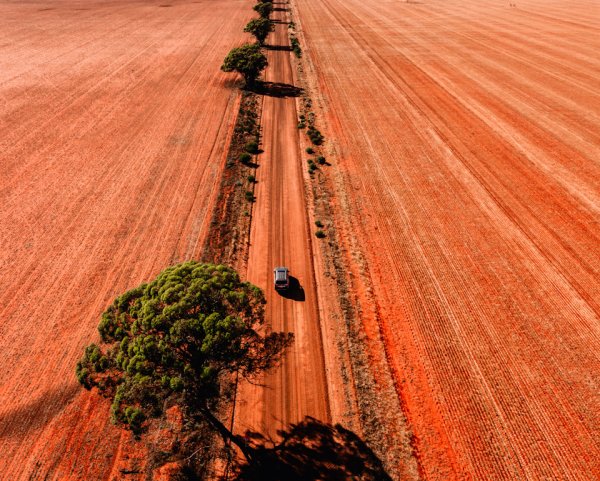 Засохшее поле
