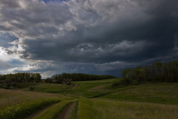 Лесостепь дождь