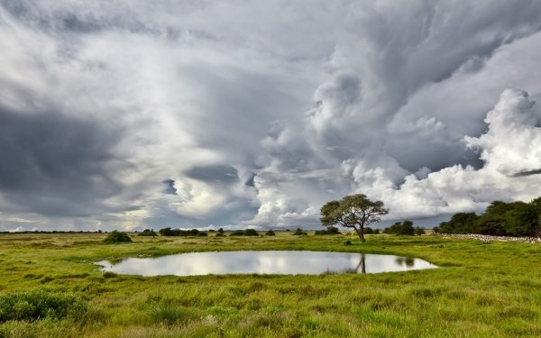 Пасмурный пейзаж