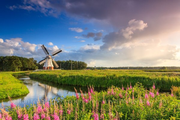 Королевство Нидерланды природа