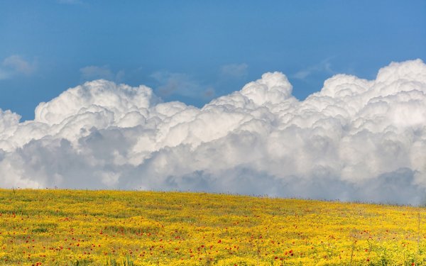 Облака над полем
