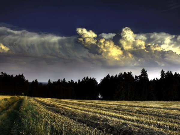 Природа пасмурно