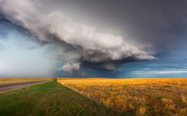 Дождь в степи