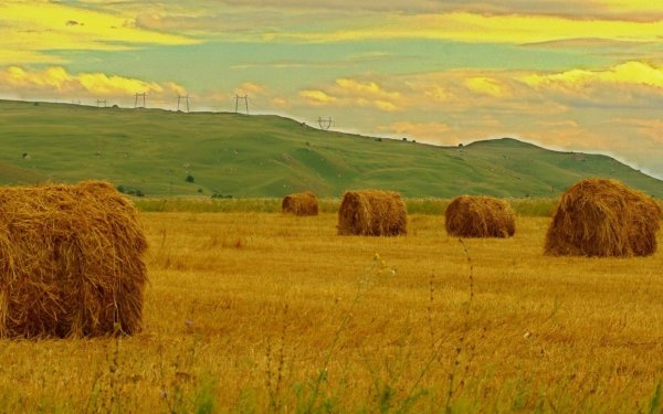 Пейзаж стога сена