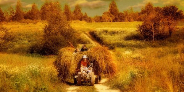 Повозка в поле