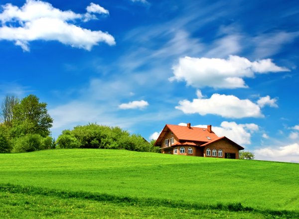 Домик в поле