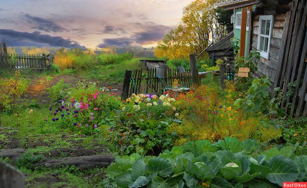 Красивые дачные пейзажи