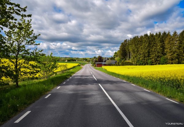 Асфальтированная дорога