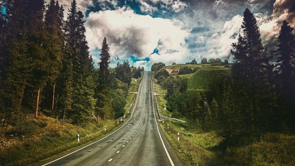 Природа дорога