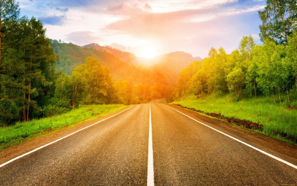 Красивая дорога