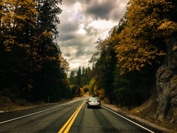 Природа дорога