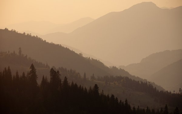 Грузия лес горы