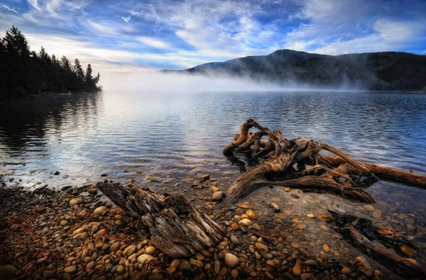 Некрасивая природа