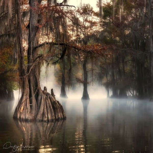 Манчак в Луизиане