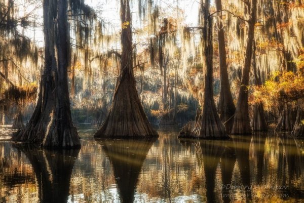 Манчак в Луизиане