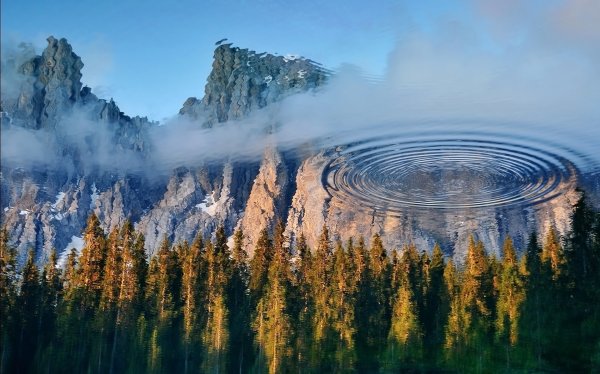 Удивительная природа