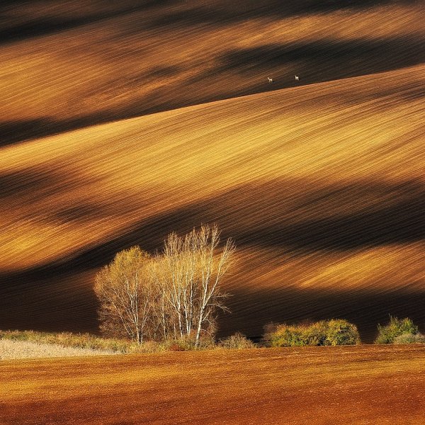 Пейзаж без фотошопа