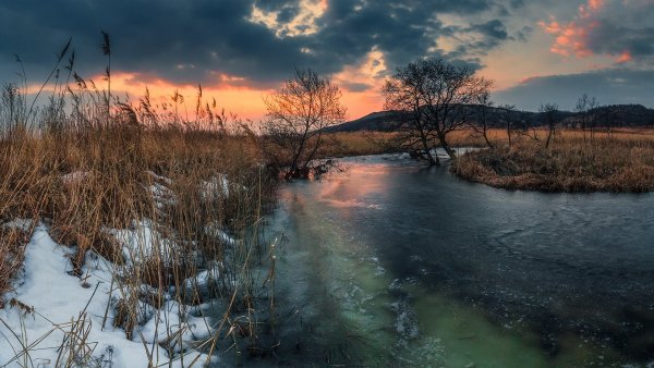 Весенняя река