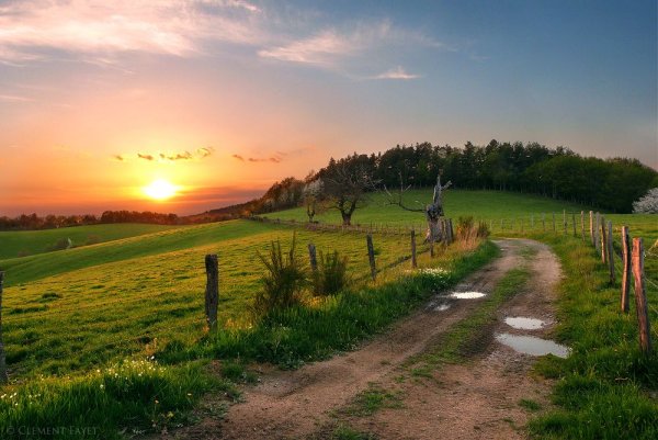 Красивая дорога в деревне