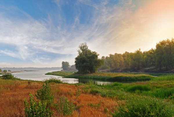 Остров пустынный Балаково