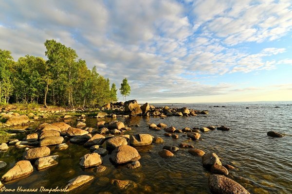 Финский залив Сосновый Бор