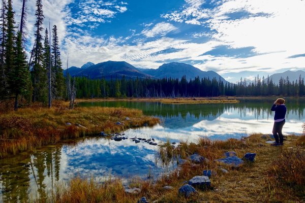 Зорька Заря