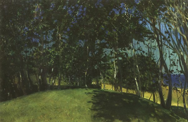 Константин Андреевич сомов заросший пруд