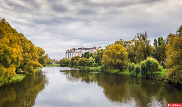 Природа Белгорода Белгород