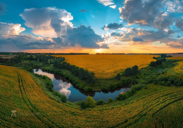 Дмитриевское Городище Белгородская