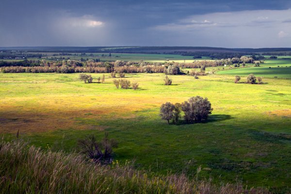 Природа Белгородского района