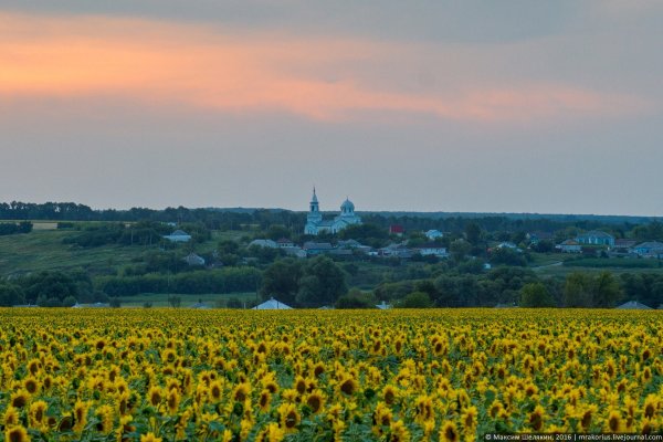 Просторы Белгородской области