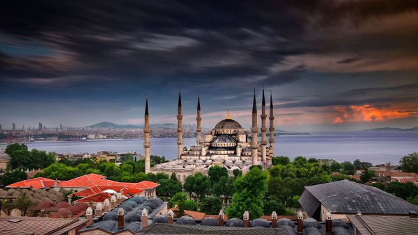 Голубая мечеть цветы Стамбул