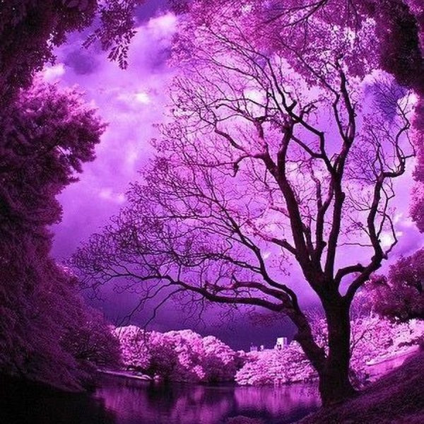 Сиреневый пейзаж