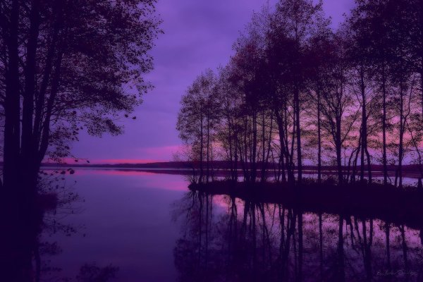 Пейзаж в фиолетовых тонах