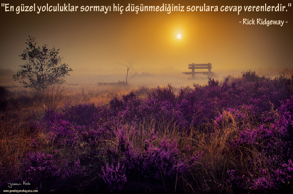 Лиловый рассвет